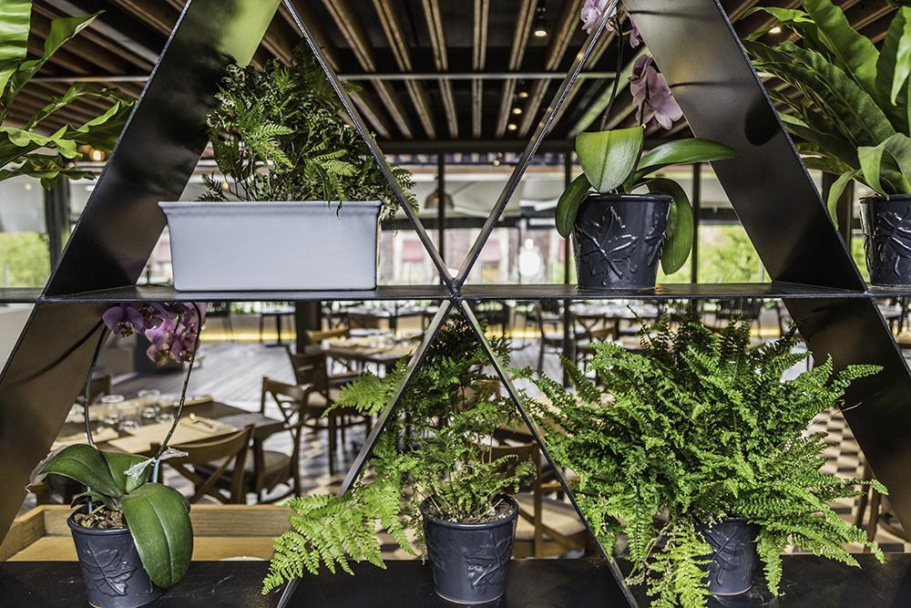 Domingo Santo Hotel Boutique (Adults Only) 멕시코 시 외부 사진